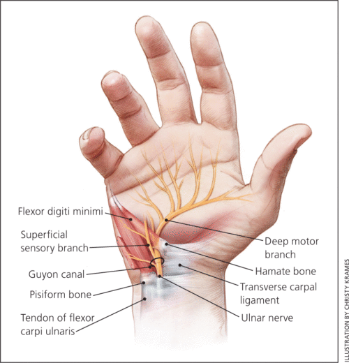 Medical Massage Courses & Certification | Science of Massage Institute ...